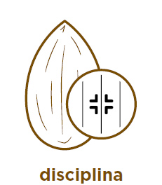 Disciplina