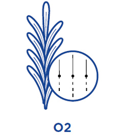 o2