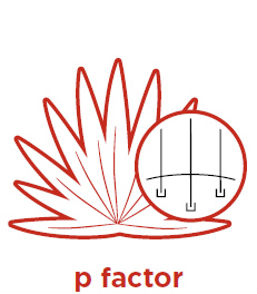 p factor