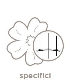 Specifici